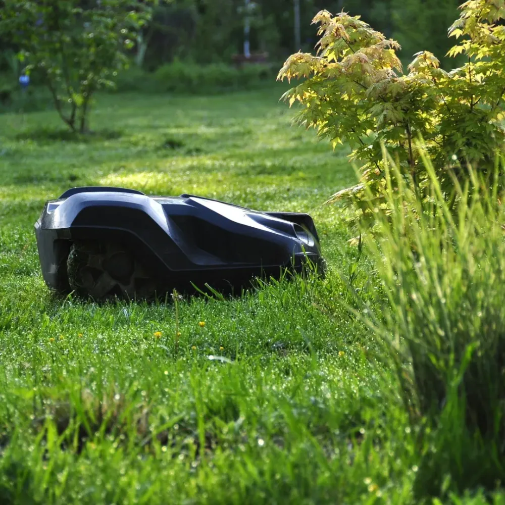 robots tondeuses